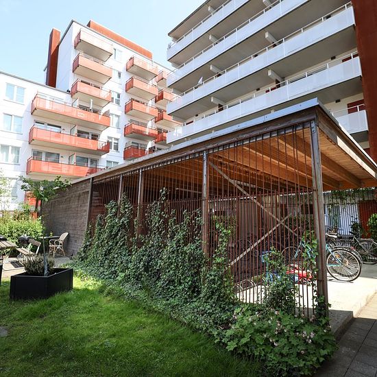 foto 6